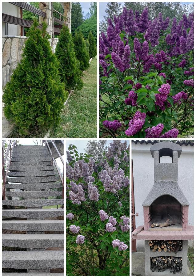 House Elan Daire Kornić Dış mekan fotoğraf